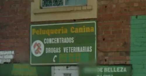 SALA DE BELLEZA CANINA SALA DE BELLEZA CANINA